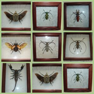 Прямокутна рамка