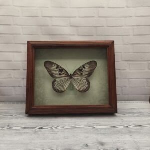 Купить Метелик в рамці Idea Idea