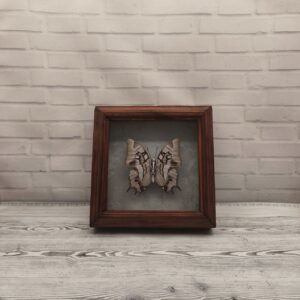 Купить Метелик в рамці Polyura cognata